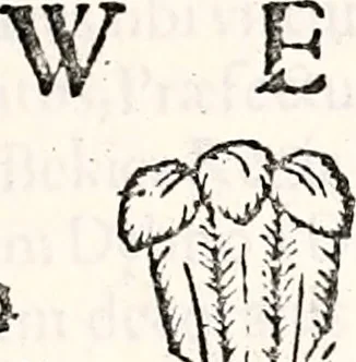 An illustration from Orbis Polonvs, splendoribus caeli: Triumphis mundi: pulchritudine animantium: decore aquatilium: naturae excellentia reptilium, condecoratvs. In qvo antiqva Sarmatarvm gentilitia, pervetvstae nobilitatis polonae insignia, vetera & noua indigenatus meritorum praemia & arma, specificantur & relucent. Nunc primum, vt Latinitati consecratus, ita claritate & veritate perspicuus, 1641, leaf 590