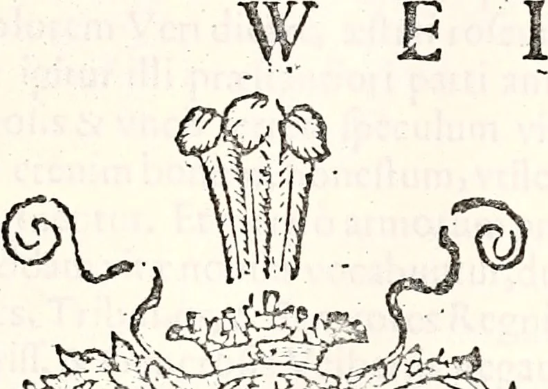 An illustration from Orbis Polonvs, splendoribus caeli: Triumphis mundi: pulchritudine animantium: decore aquatilium: naturae excellentia reptilium, condecoratvs. In qvo antiqva Sarmatarvm gentilitia, pervetvstae nobilitatis polonae insignia, vetera & noua indigenatus meritorum praemia & arma, specificantur & relucent. Nunc primum, vt Latinitati consecratus, ita claritate & veritate perspicuus, 1641, leaf 638