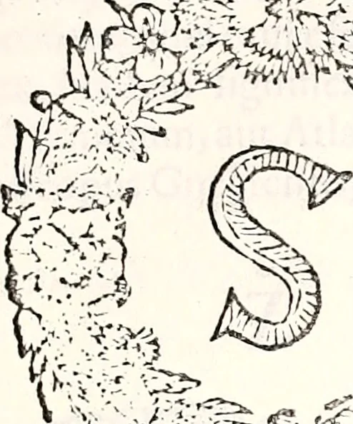 An illustration from Orbis Polonvs, splendoribus caeli: Triumphis mundi: pulchritudine animantium: decore aquatilium: naturae excellentia reptilium, condecoratvs. In qvo antiqva Sarmatarvm gentilitia, pervetvstae nobilitatis polonae insignia, vetera & noua indigenatus meritorum praemia & arma, specificantur & relucent. Nunc primum, vt Latinitati consecratus, ita claritate & veritate perspicuus, 1641, leaf 702