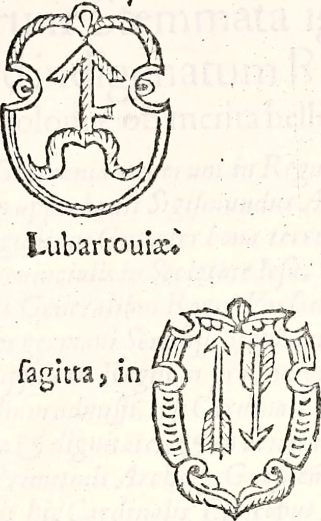 An illustration from Orbis Polonvs, splendoribus caeli: Triumphis mundi: pulchritudine animantium: decore aquatilium: naturae excellentia reptilium, condecoratvs. In qvo antiqva Sarmatarvm gentilitia, pervetvstae nobilitatis polonae insignia, vetera & noua indigenatus meritorum praemia & arma, specificantur & relucent. Nunc primum, vt Latinitati consecratus, ita claritate & veritate perspicuus, 1641, leaf 732