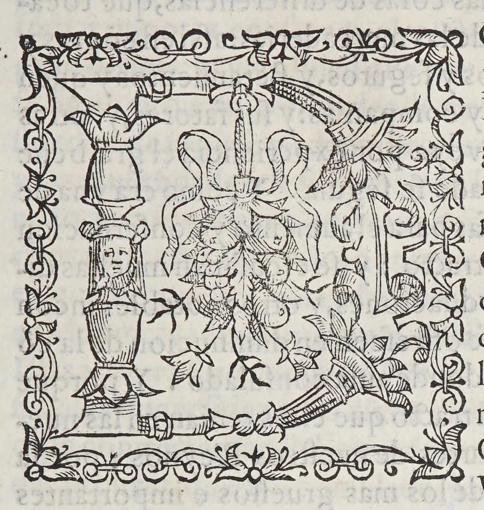 An illustration from Ordenanças reales, para la Casa de la Contratacion de Seuilla, y para otras cosas de las Indias. Y de la nauegacion y contractacion dellas, 1585, leaf 19