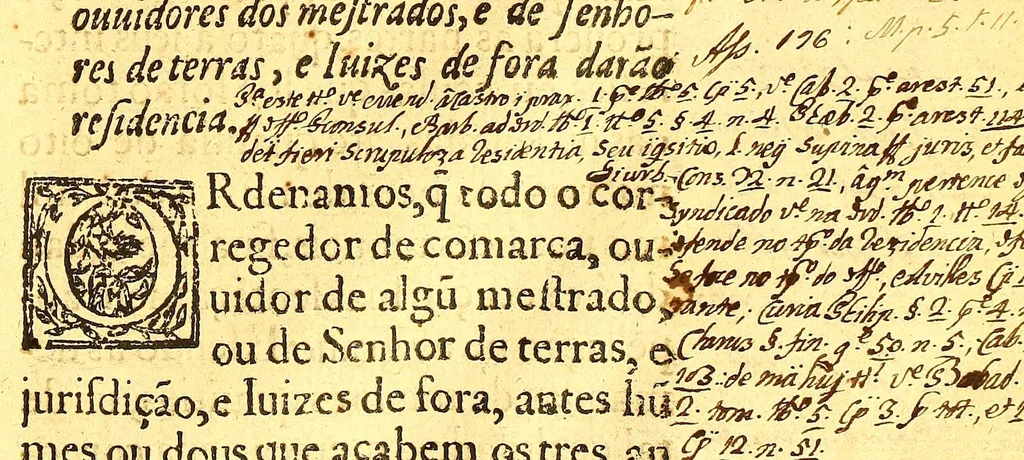 An illustration from Ordenaços, e leis do reino de Portugal, 1603, leaf 151
