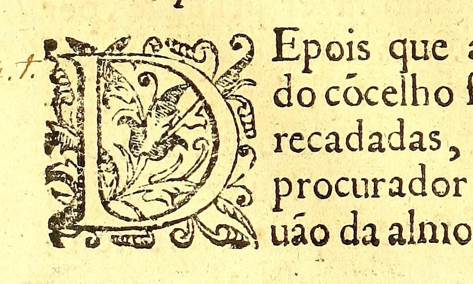 An illustration from Ordenaços, e leis do reino de Portugal, 1603, leaf 214