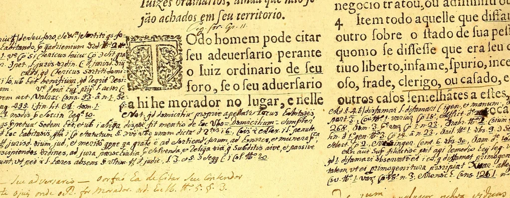 An illustration from Ordenaços, e leis do reino de Portugal, 1603, leaf 450
