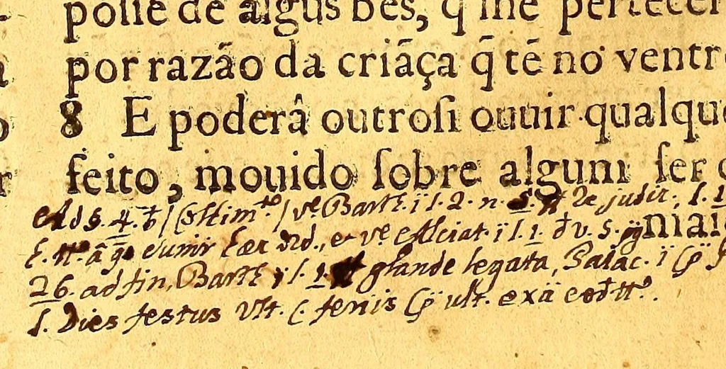 An illustration from Ordenaços, e leis do reino de Portugal, 1603, leaf 458