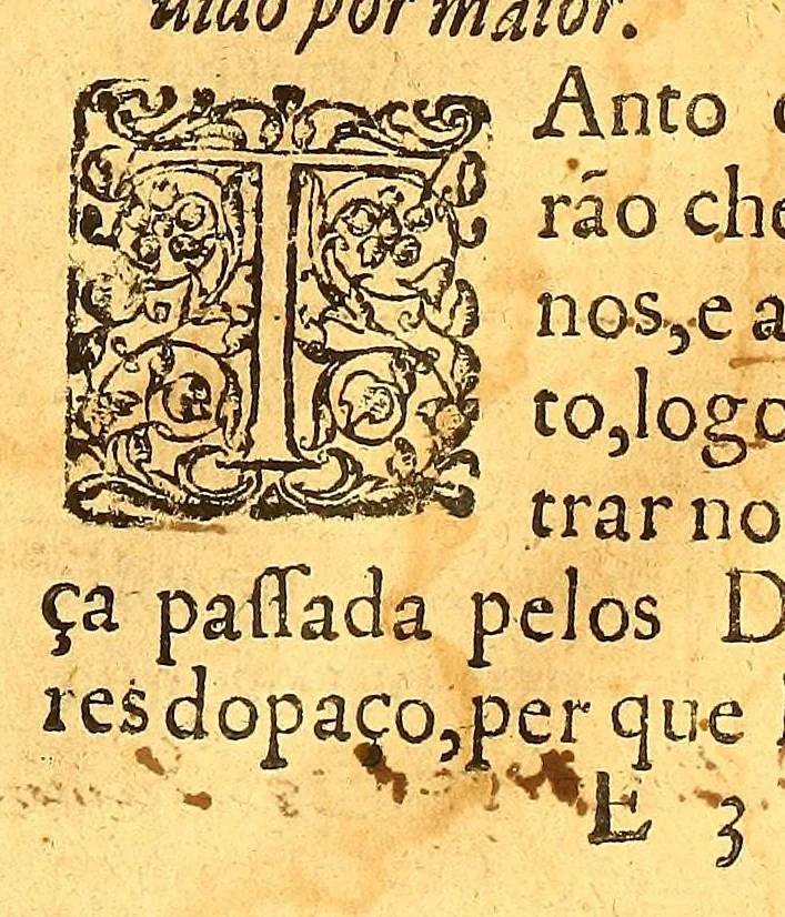 An illustration from Ordenaços, e leis do reino de Portugal, 1603, leaf 505