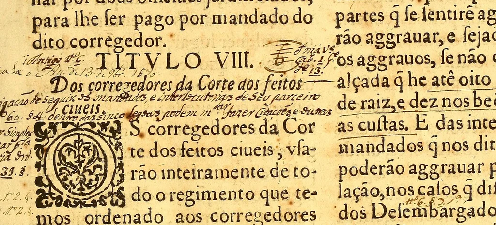 An illustration from Ordenaços, e leis do reino de Portugal, 1603, leaf 51