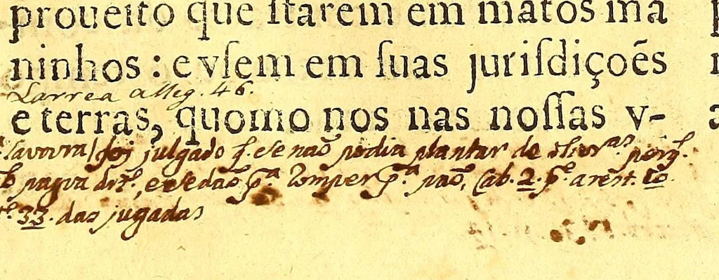 An illustration from Ordenaços, e leis do reino de Portugal, 1603, leaf 673