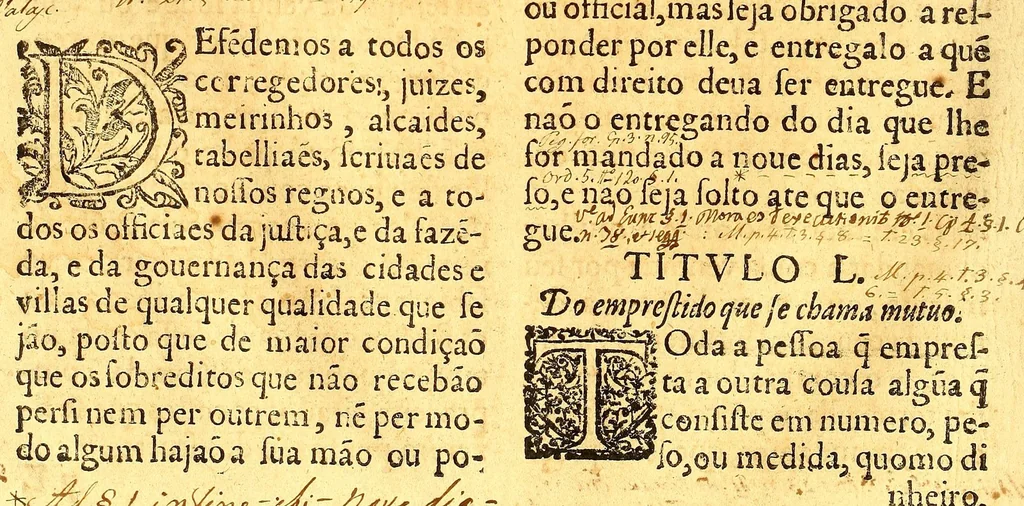 An illustration from Ordenaços, e leis do reino de Portugal, 1603, leaf 684