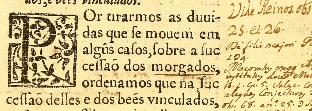 An illustration from Ordenaços, e leis do reino de Portugal, 1603, leaf 753