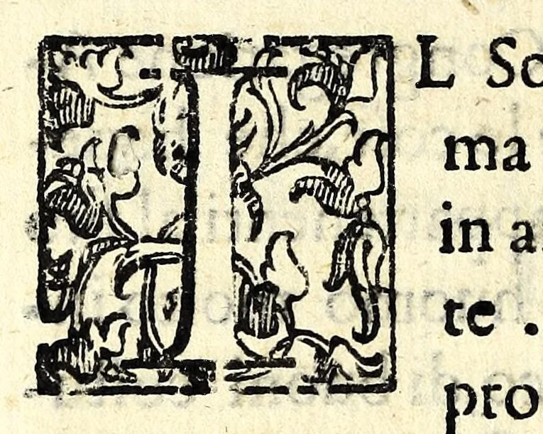 An illustration from Ordini dell' Academia de pittori et scvltori di Roma, 1609, leaf 16