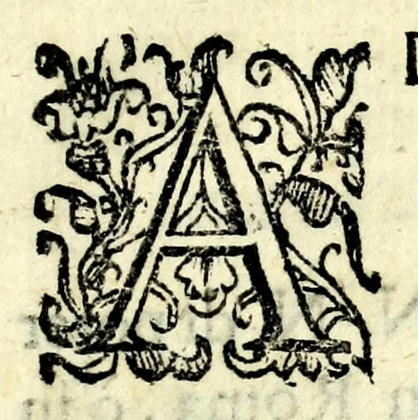 An illustration from Ordini dell' Academia de pittori et scvltori di Roma, 1609, leaf 63