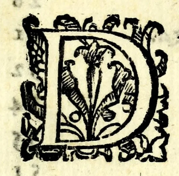 An illustration from Ordini dell' Academia de pittori et scvltori di Roma, 1609, leaf 69