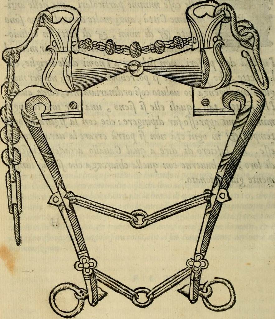 An illustration from Ordini di cavalcare, 1571, leaf 129