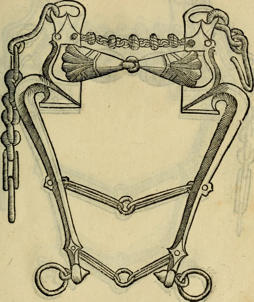 An illustration from Ordini di cavalcare, 1571, leaf 130