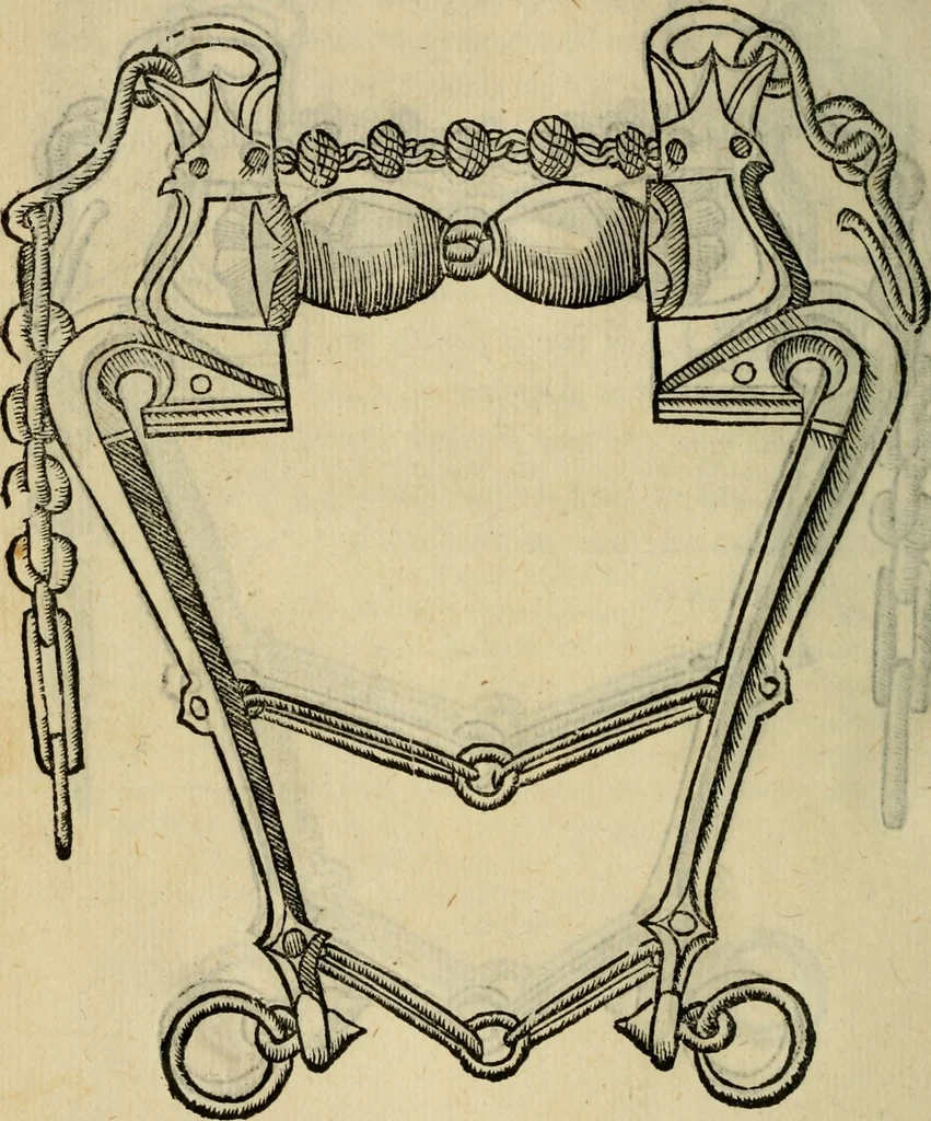 An illustration from Ordini di cavalcare, 1571, leaf 131