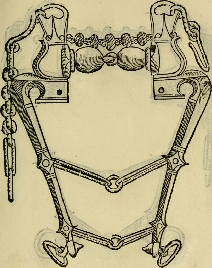 An illustration from Ordini di cavalcare, 1571, leaf 132