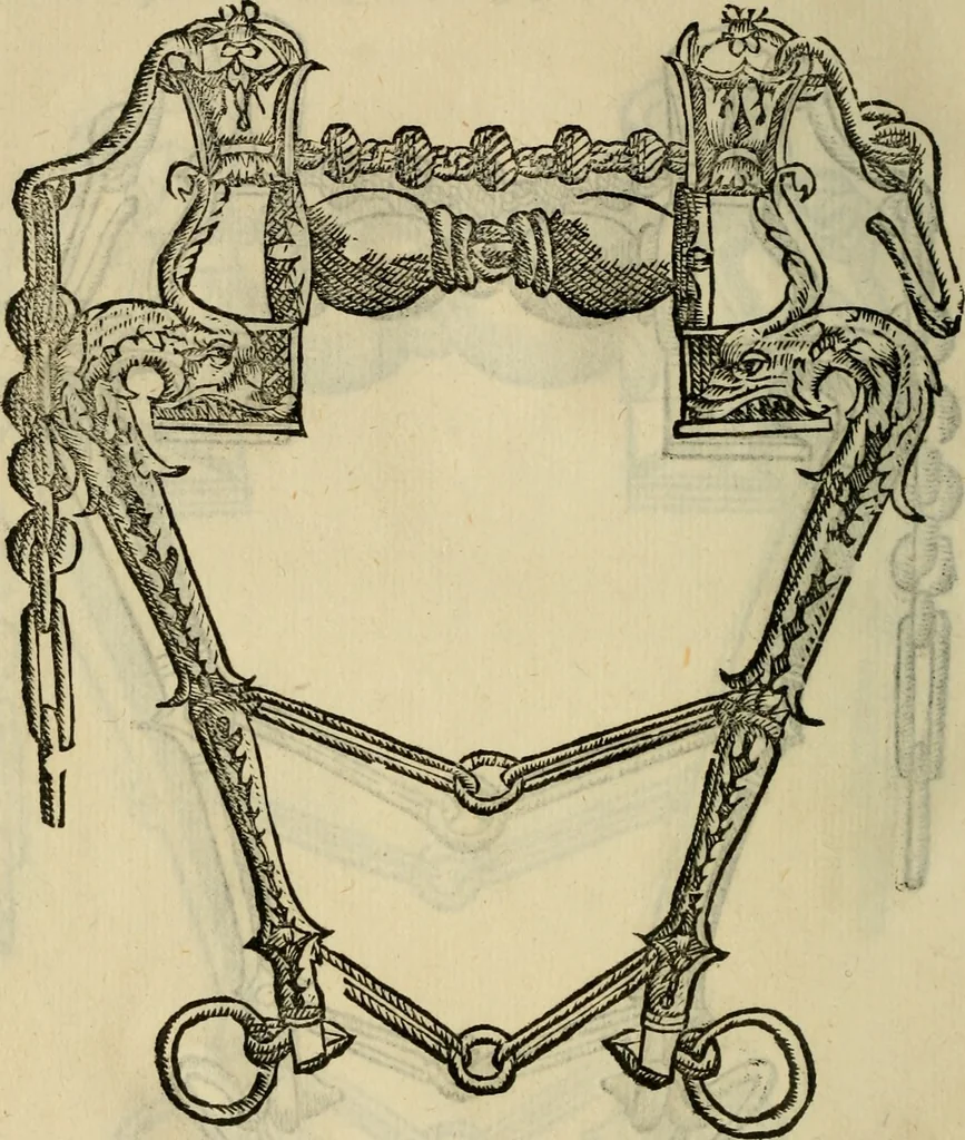 An illustration from Ordini di cavalcare, 1571, leaf 133