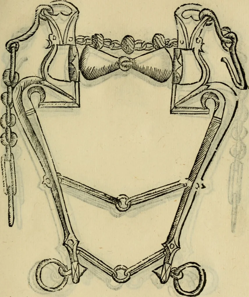 An illustration from Ordini di cavalcare, 1571, leaf 134