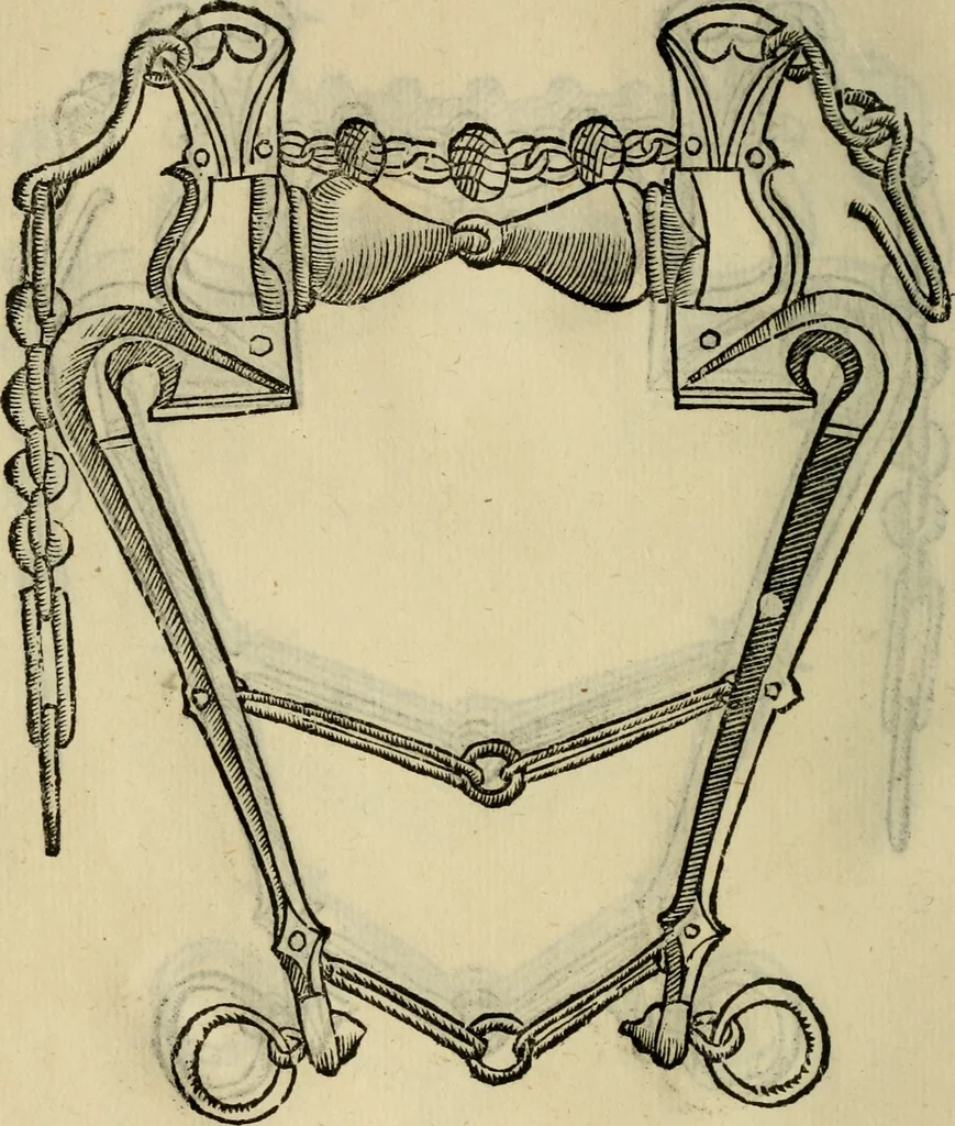 An illustration from Ordini di cavalcare, 1571, leaf 135