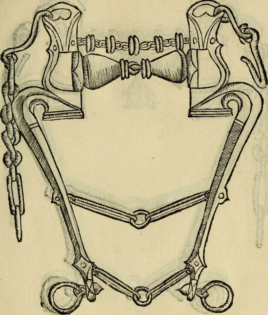 An illustration from Ordini di cavalcare, 1571, leaf 136