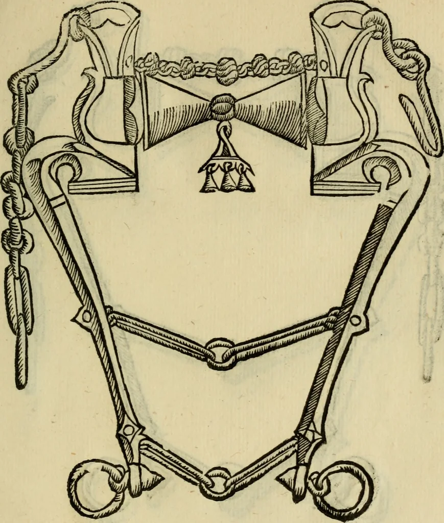An illustration from Ordini di cavalcare, 1571, leaf 138