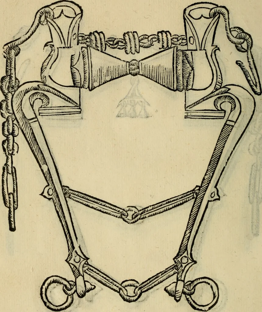 An illustration from Ordini di cavalcare, 1571, leaf 139