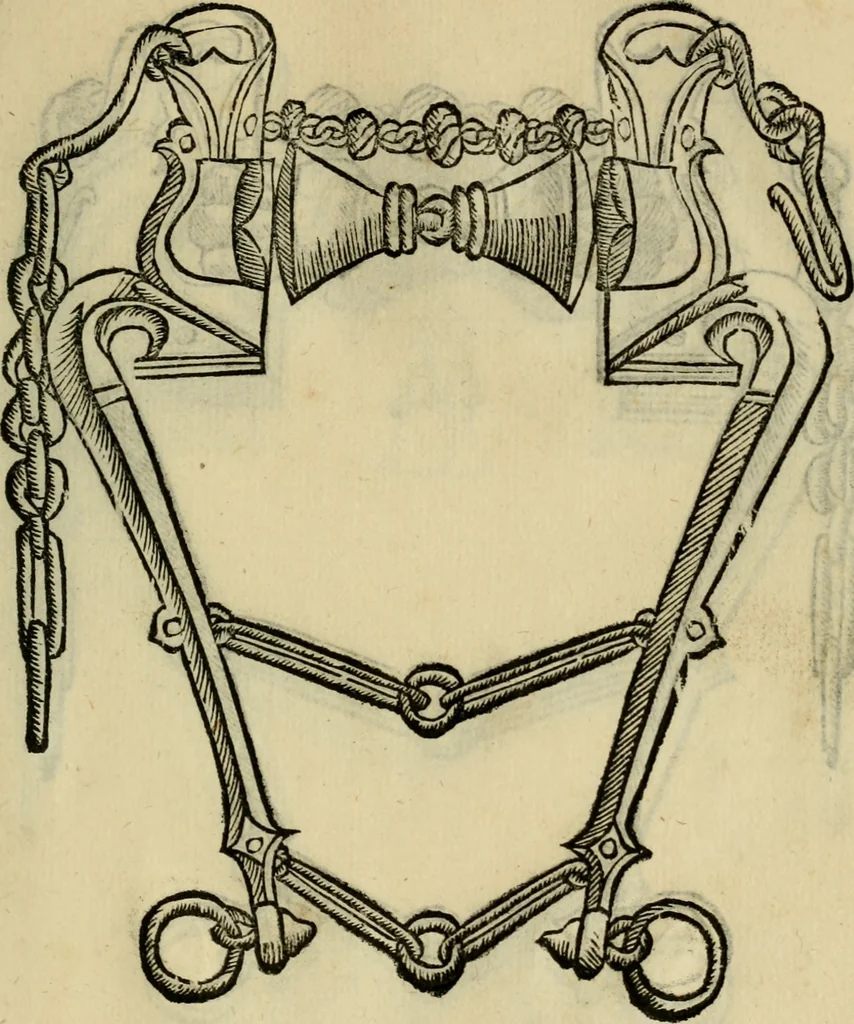 An illustration from Ordini di cavalcare, 1571, leaf 140