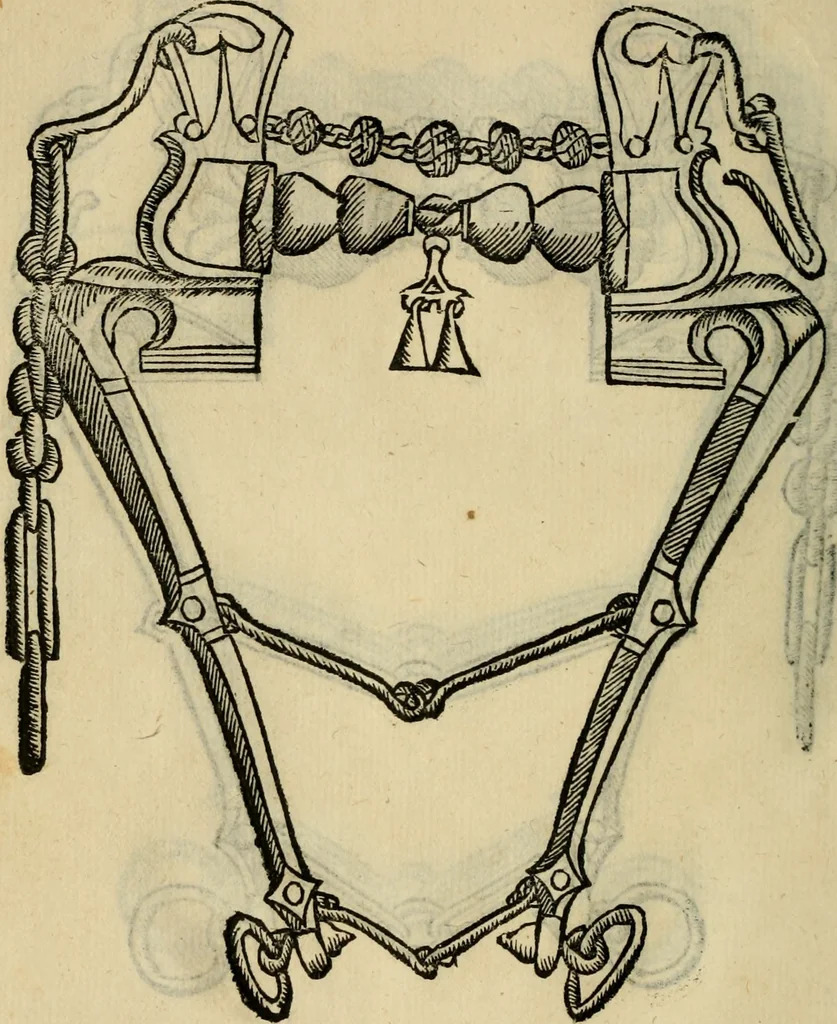 An illustration from Ordini di cavalcare, 1571, leaf 143