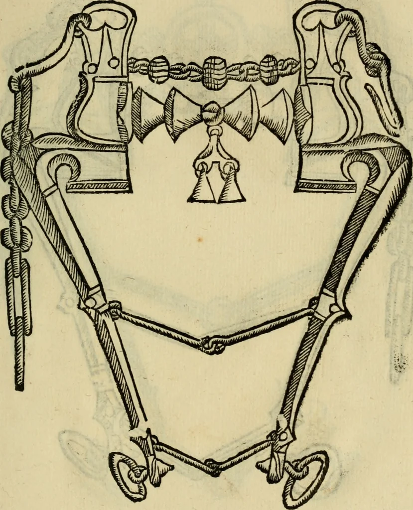 An illustration from Ordini di cavalcare, 1571, leaf 144