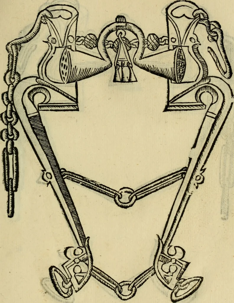 An illustration from Ordini di cavalcare, 1571, leaf 146
