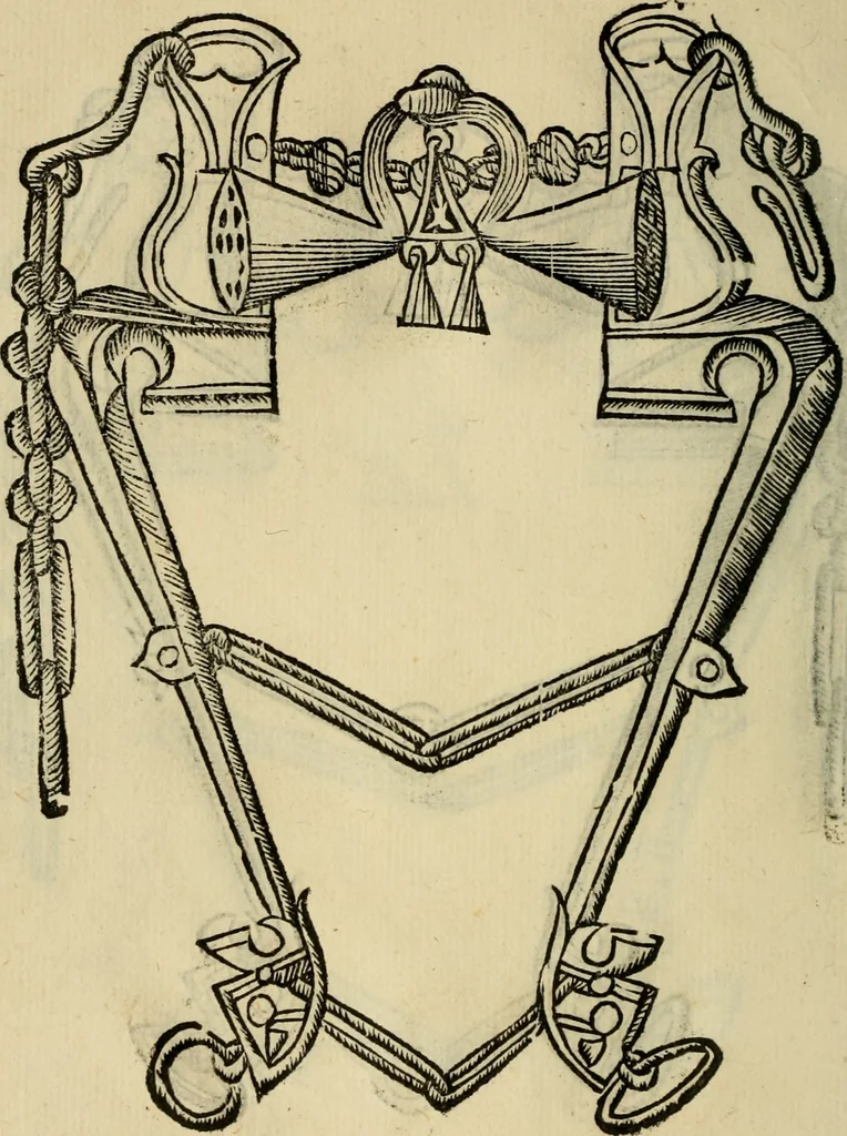 An illustration from Ordini di cavalcare, 1571, leaf 147