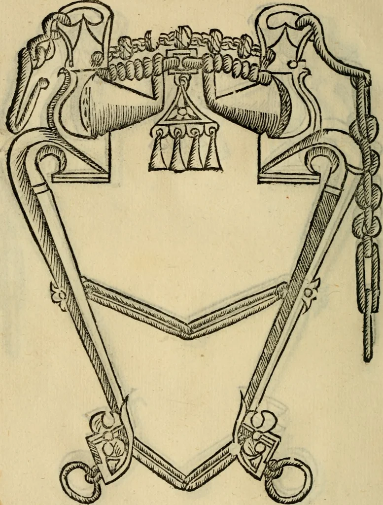 An illustration from Ordini di cavalcare, 1571, leaf 153