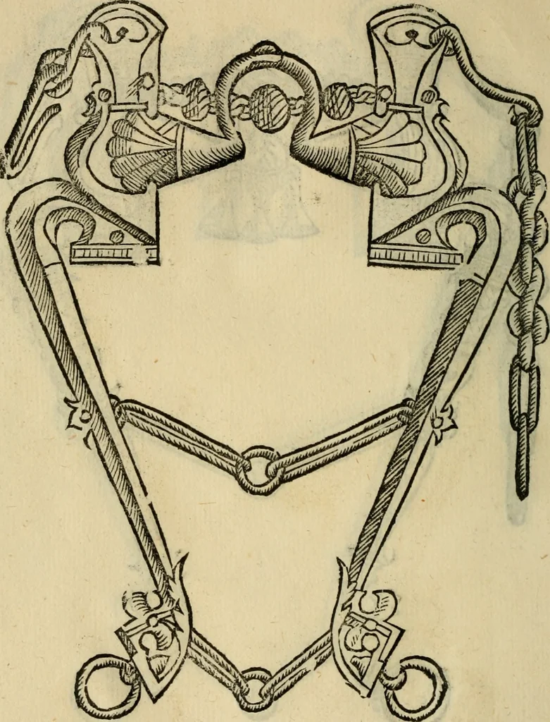 An illustration from Ordini di cavalcare, 1571, leaf 155