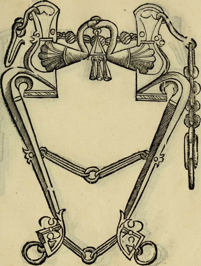 An illustration from Ordini di cavalcare, 1571, leaf 156
