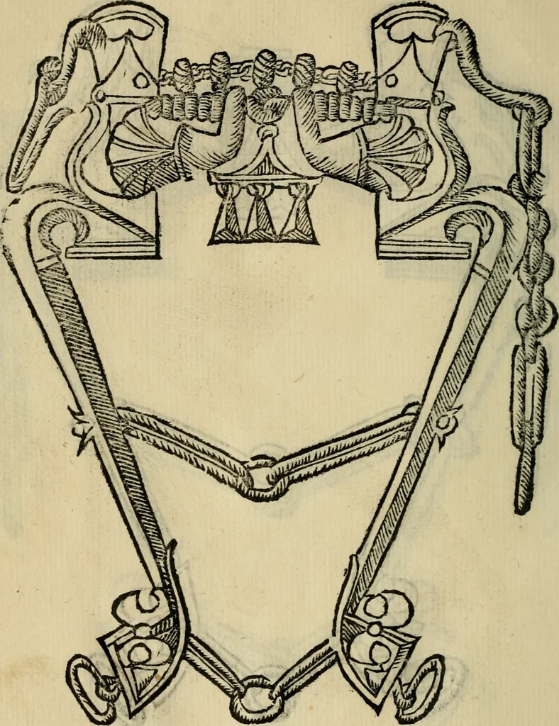 An illustration from Ordini di cavalcare, 1571, leaf 161