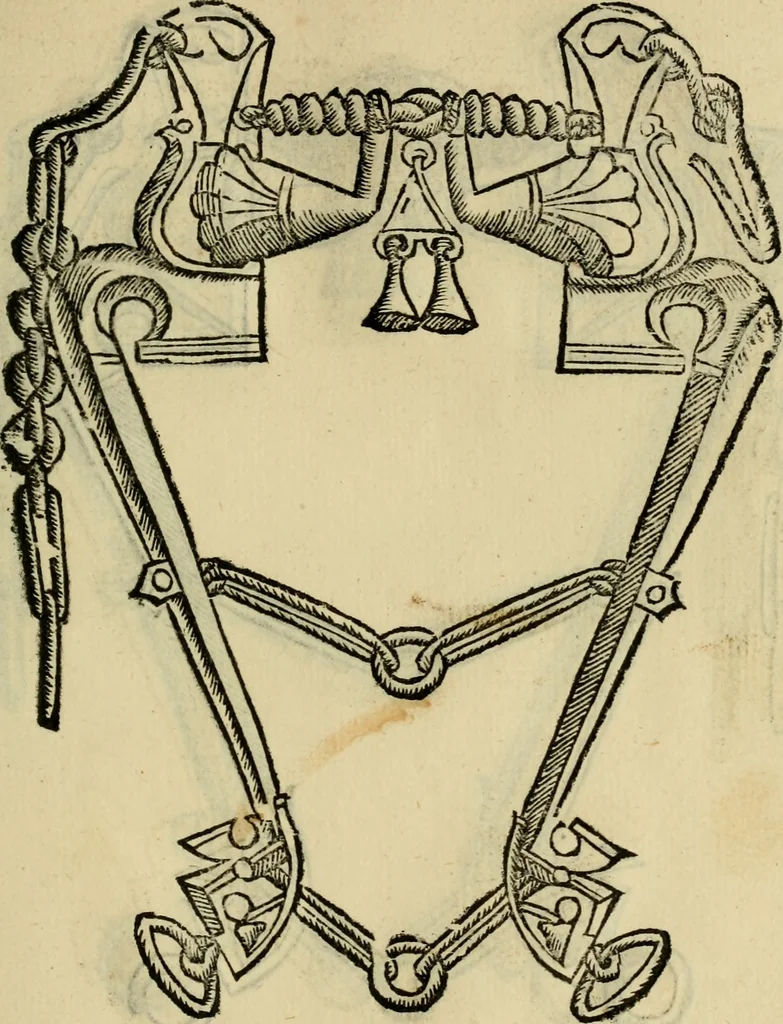 An illustration from Ordini di cavalcare, 1571, leaf 164