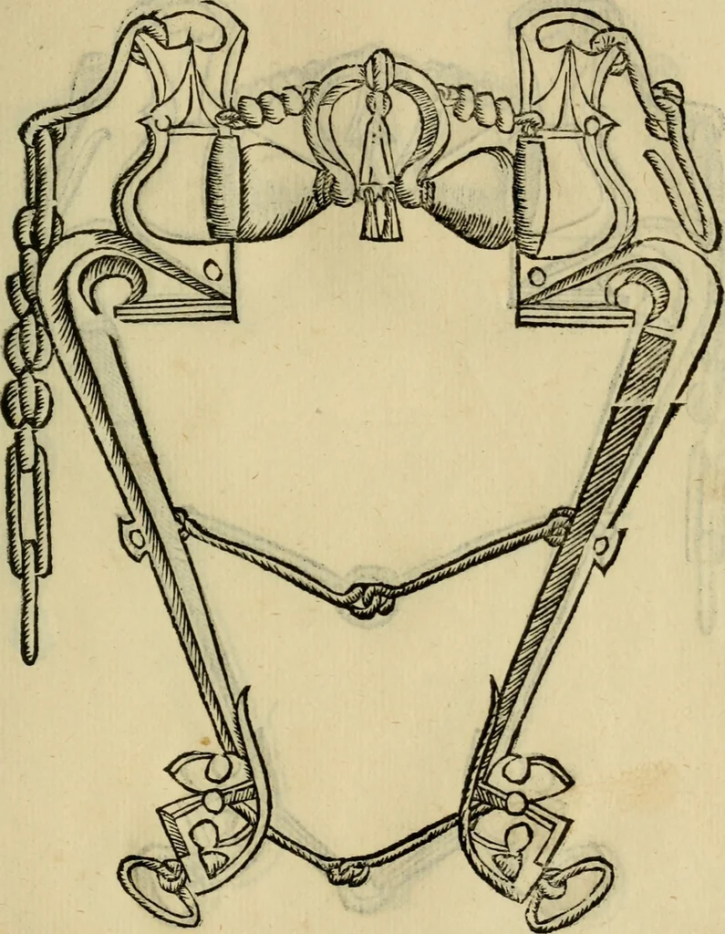 An illustration from Ordini di cavalcare, 1571, leaf 170