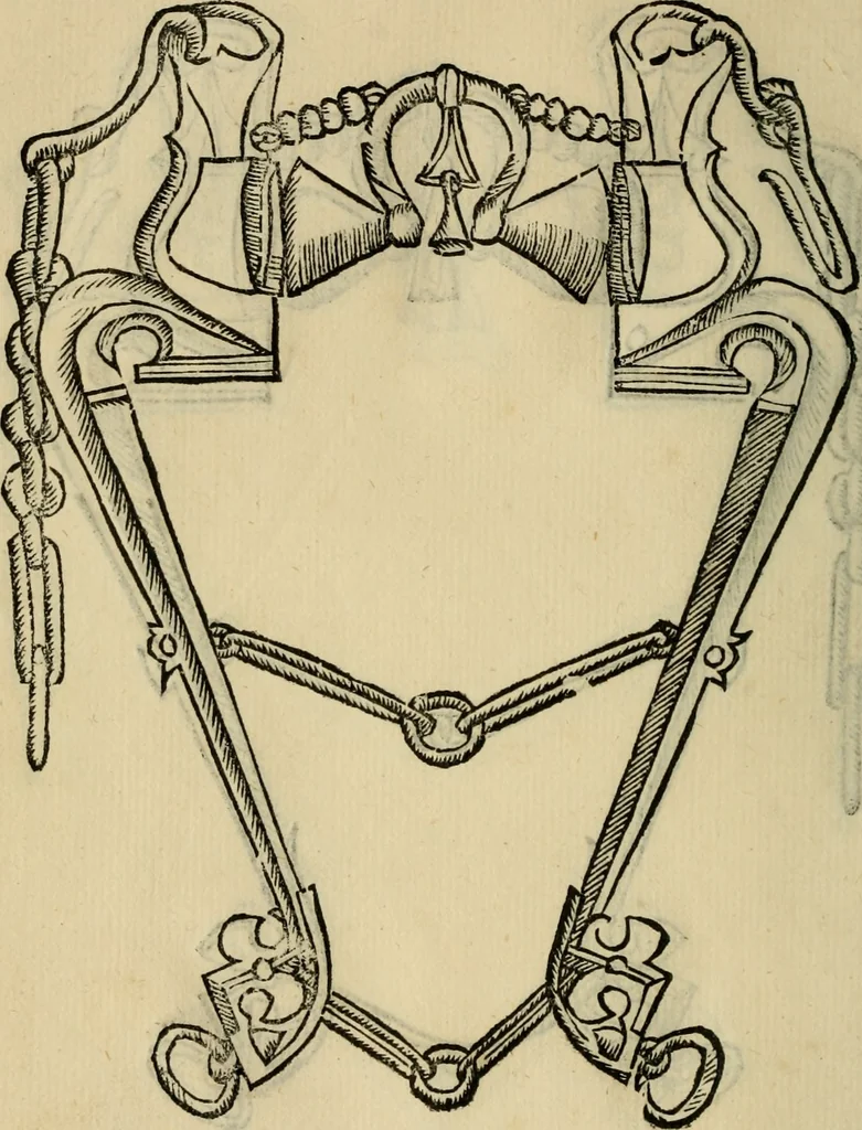 An illustration from Ordini di cavalcare, 1571, leaf 171