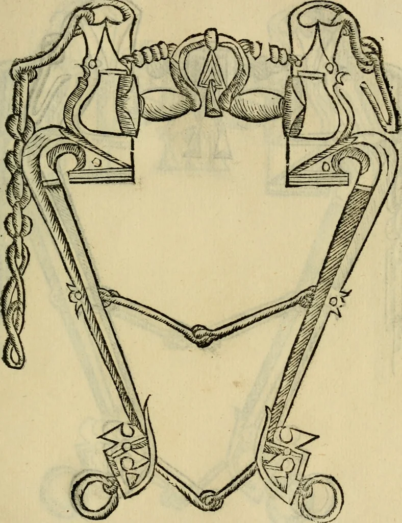 An illustration from Ordini di cavalcare, 1571, leaf 172