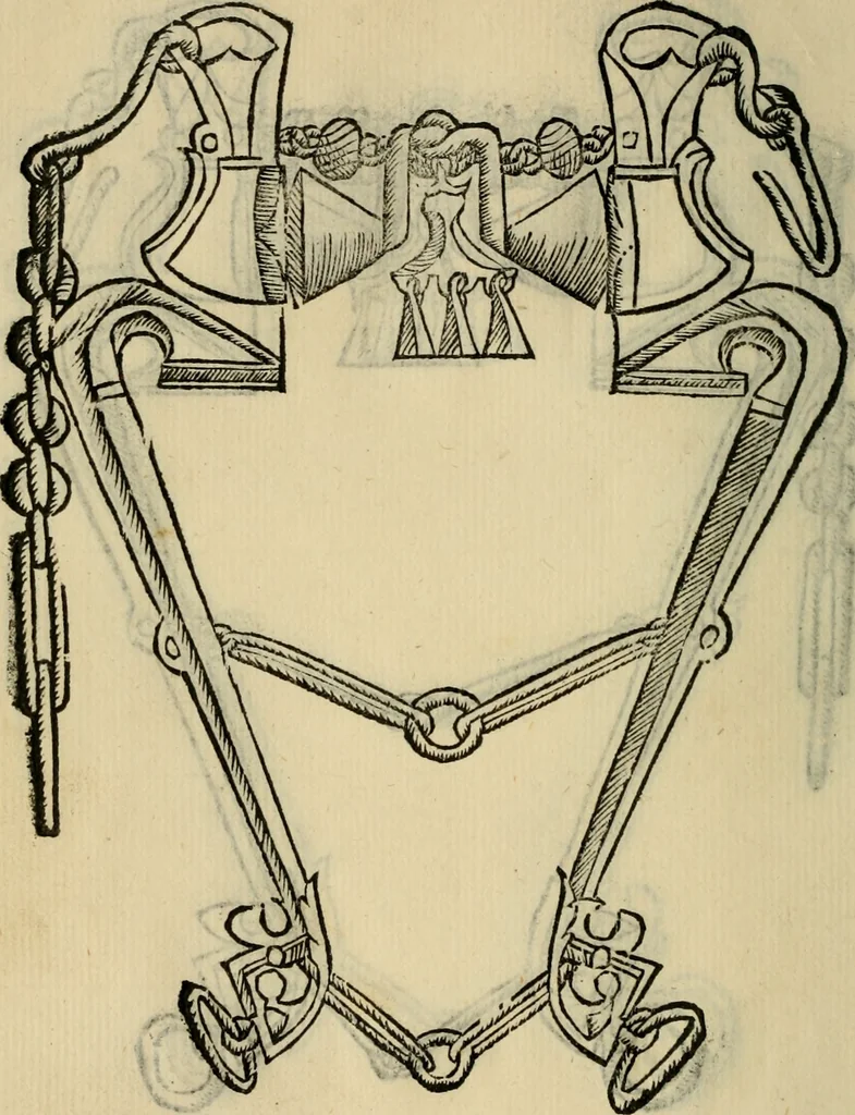 An illustration from Ordini di cavalcare, 1571, leaf 177