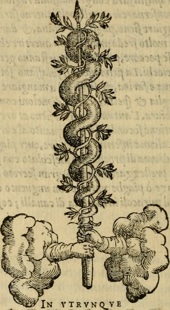 An illustration from Ordini di cavalcare, 1571, leaf 263
