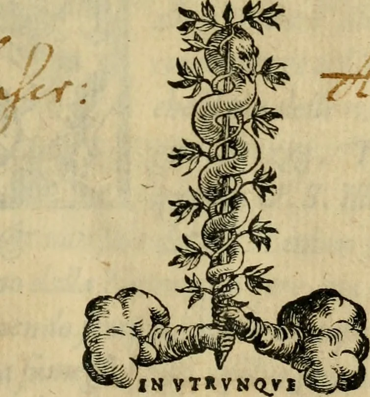 An illustration from Ordini di cavalcare, 1571, leaf 4