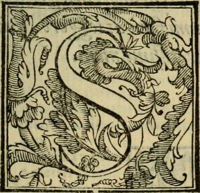 An illustration from Ordini di cavalcare, 1571, leaf 6