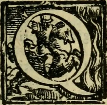 An illustration from Ordini di cavalcare, 1571, leaf 8