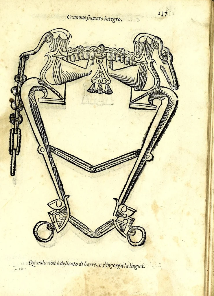 An illustration from Ordini di cavalcare, et modi di conoscere le nature de' caualli, di emendare i lor vitij, & d'ammaestrargli per l'uso della guerra, & giouamento de gli huomini : con varie figvre di morsi, secondo le bocche, & il maneggio che si vuol dar loro, 1571, leaf 153