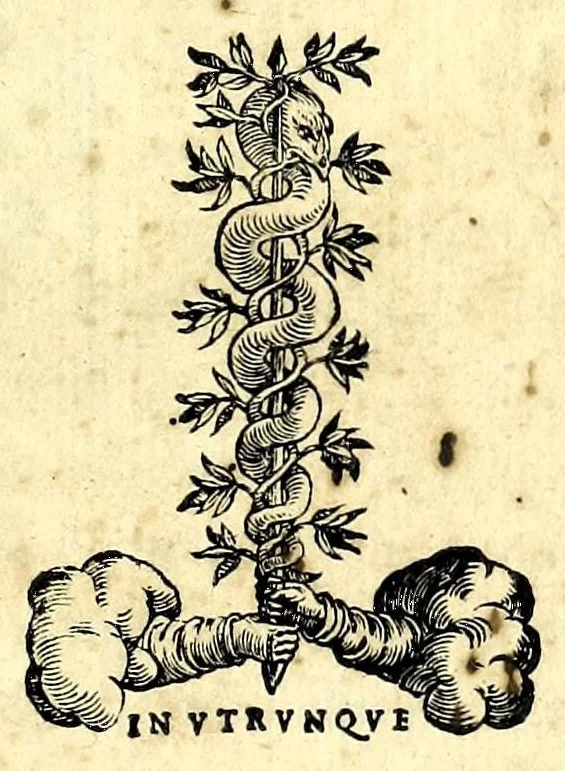 An illustration from Ordini di cavalcare, et modi di conoscere le nature de' caualli, di emendare i lor vitij, & d'ammaestrargli per l'uso della guerra, & giouamento de gli huomini : con varie figvre di morsi, secondo le bocche, & il maneggio che si vuol dar loro, 1571, leaf 5