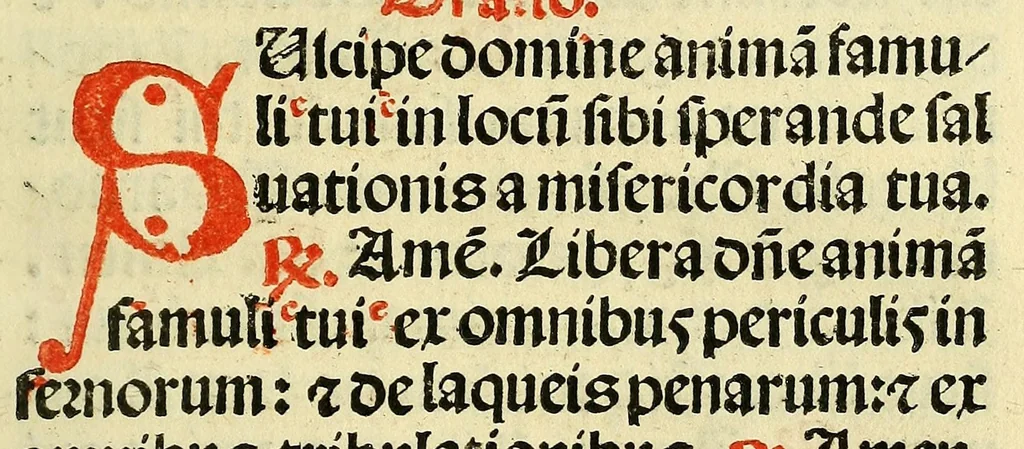 An illustration from Ordo baptizandi : secundum Ritum Romane Ecclesie ad vsum ciuitatis Mantue, 1588, leaf 51