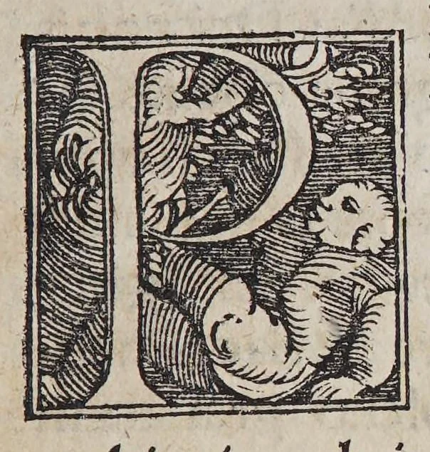 An illustration from Ordo distributionis sacramenti altaris sub vtraque specie, et formula confessionis faciendae in regno Angliae., 1548, leaf 13