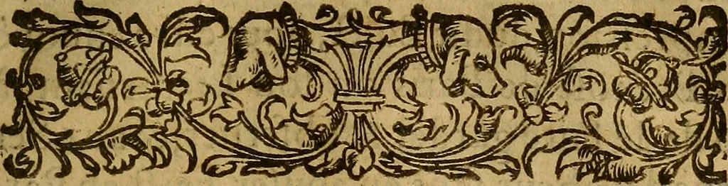 An illustration from Ordonnance du Roy pour le reglement et reformation de la dissolution & superfluité qui est és habillemens & ornemens d'iceux: & de la punition de ceux qui contreuiendront à la dite ordonnance : Avec Arrest de la Court de Parlement, du vingt uniesme d'Auril, 1583. Ensemble l'ordonnance de la Police generale, 1583, leaf 16
